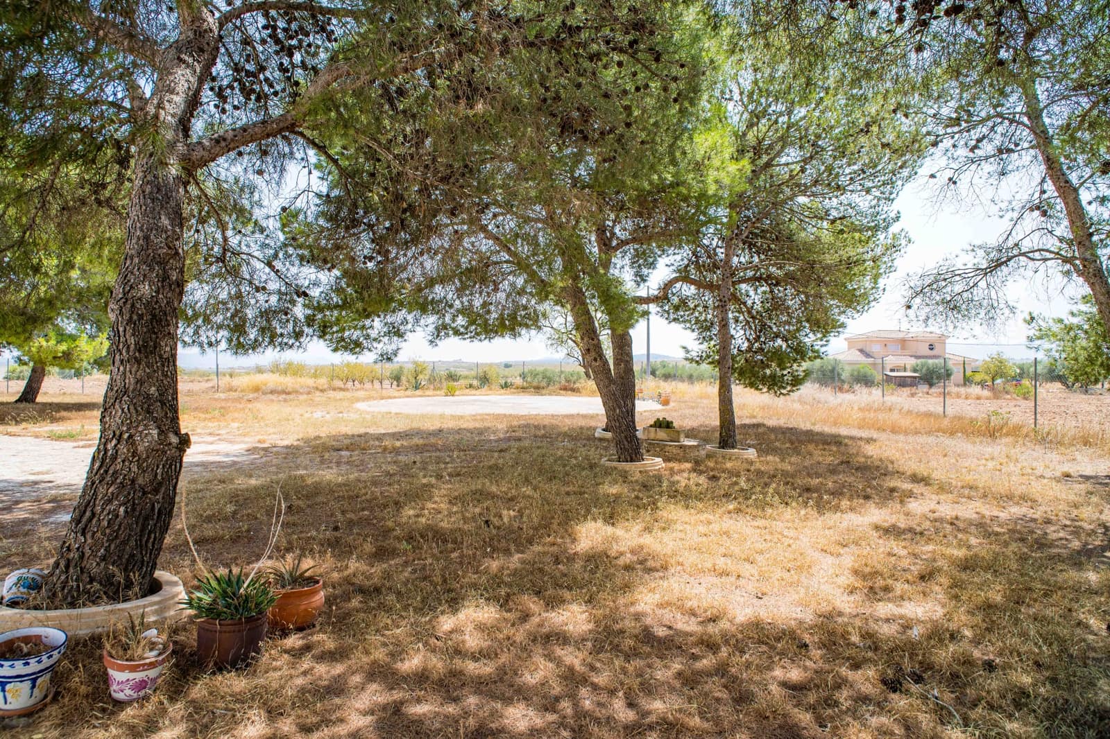 5 sypialnia Finka/Dom wiejski na sprzedaż w Pinoso z basenem garażem - 578 000 € (Ref: 10012358)