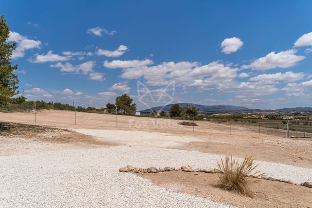 4 sypialnia Willa na sprzedaż w Cañada del Trigo, Pinoso z basenem - 575 000 € (Ref: 9061702)