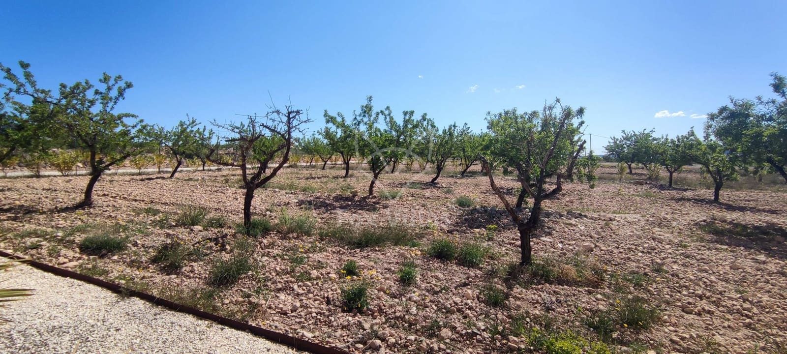 4 soveværelse Villa til salg i Pinoso med swimmingpool - € 595.000 (Ref: 9064483)