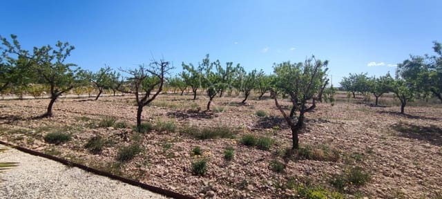 4 soverom Villa til salgs i Pinoso med svømmebasseng - € 595 000 (Ref: 9064483)