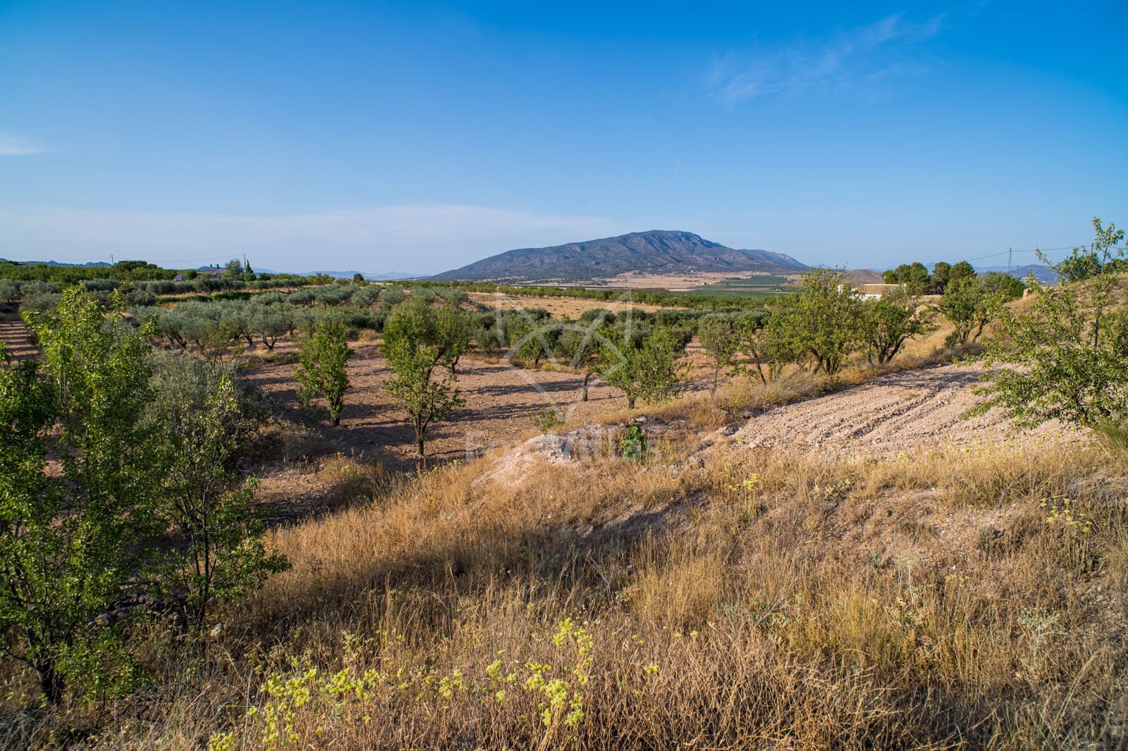 4 soveværelse Finca/Landehus til salg i Raspay - € 56.000 (Ref: 9103464)