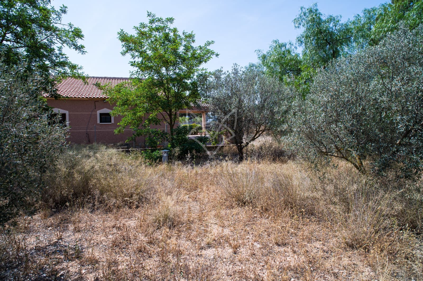 6 soveværelse Finca/Landehus til salg i Pinoso med swimmingpool - € 350.000 (Ref: 9106727)