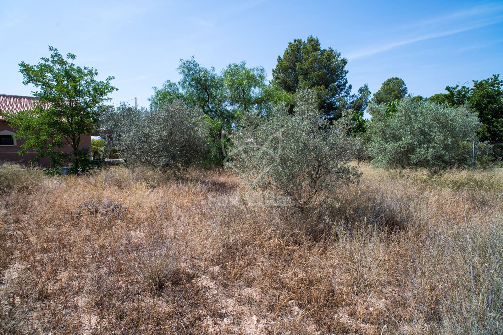 6 soveværelse Finca/Landehus til salg i Pinoso med swimmingpool - € 350.000 (Ref: 9106727)