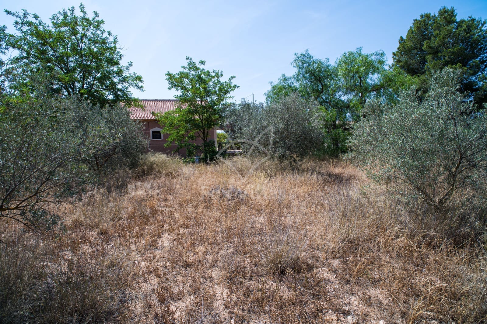 6 soveværelse Finca/Landehus til salg i Pinoso med swimmingpool - € 350.000 (Ref: 9106727)