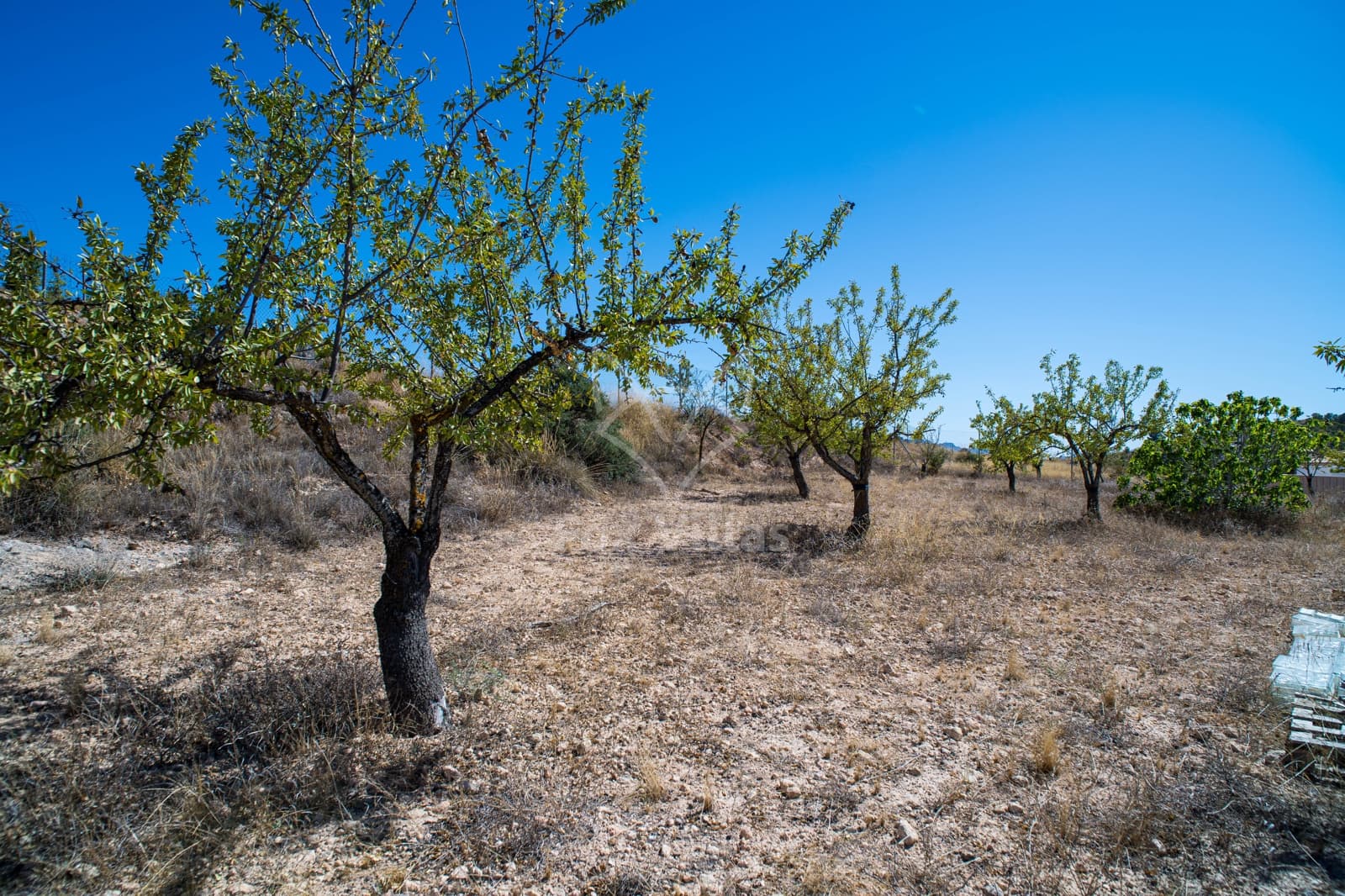 3 soveværelse Villa til salg i La Alberquilla med swimmingpool garage - € 349.995 (Ref: 9216361)