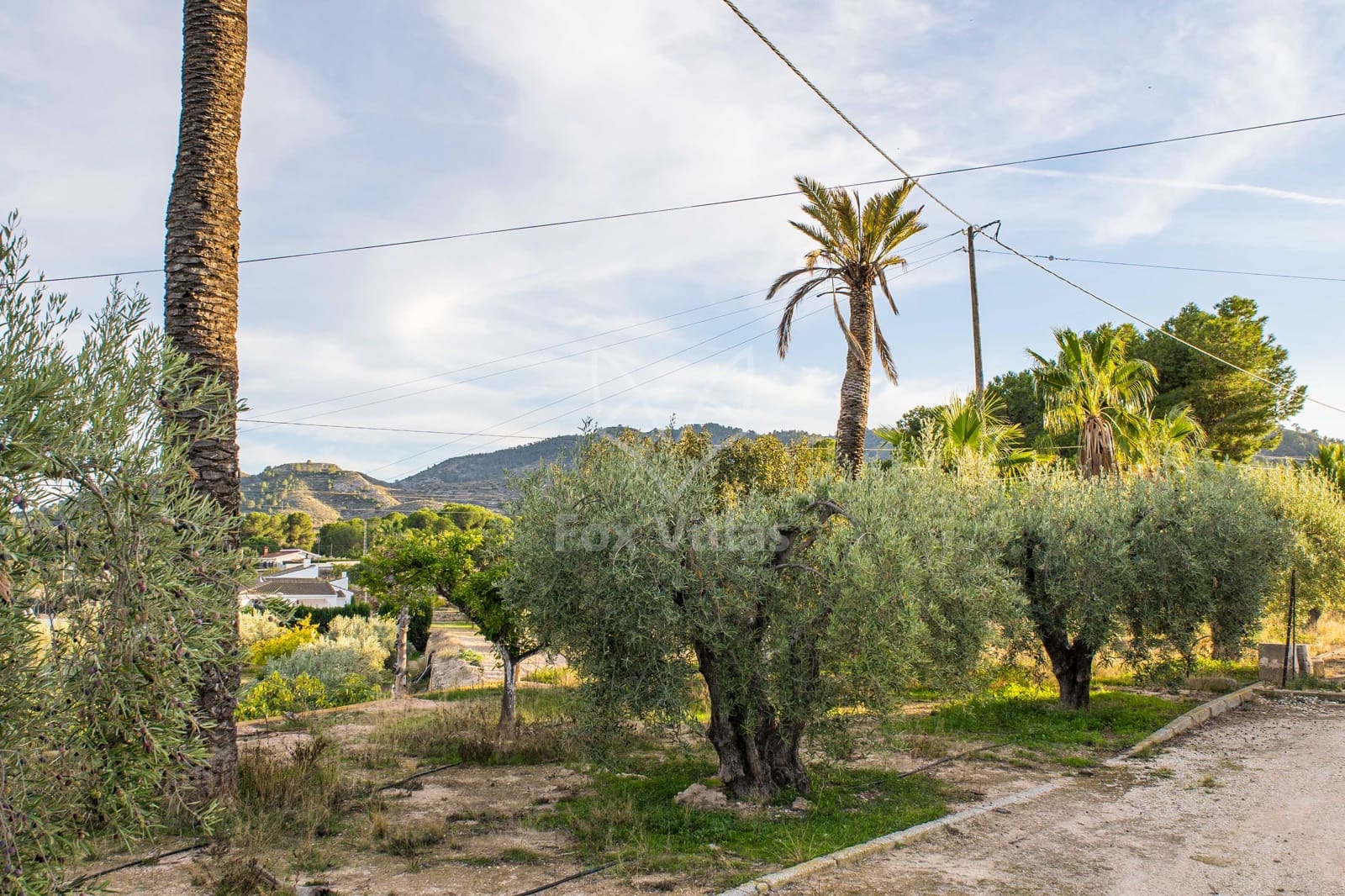 6 quarto Quinta/Casa Rural para venda em Monovar / Monover com garagem - 399 995 € (Ref: 9377748)