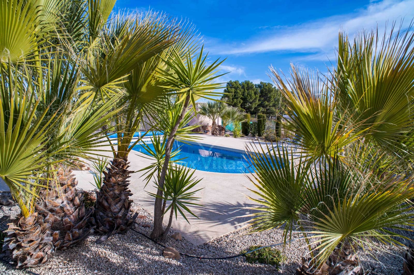 3 quarto Moradia para venda em Pinoso com piscina garagem - 330 000 € (Ref: 9448526)