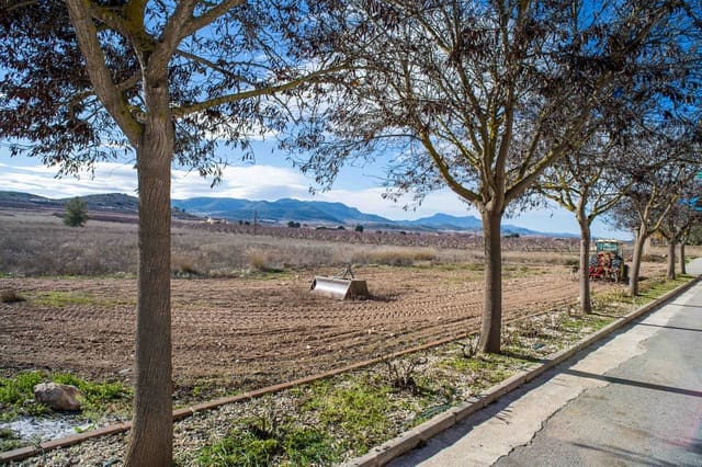 5 bedroom Finca/Country House for sale in Pinoso with pool garage - € 179,950 (Ref: 9538889)