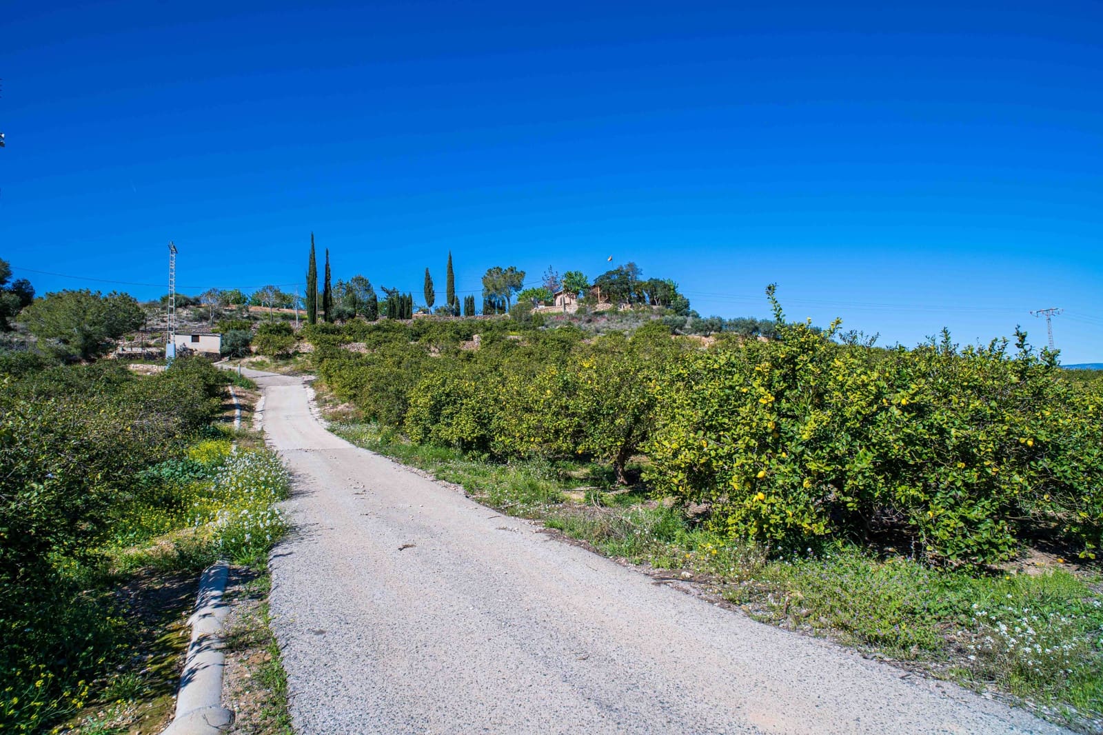 4 chambre Finca/Maison de Campagne à vendre à Santomera avec piscine - 350 000 € (Ref: 9762345)