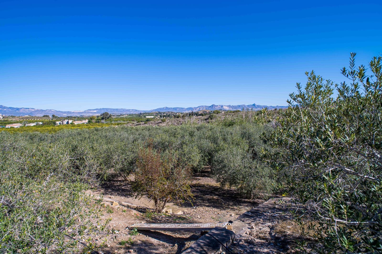 4 chambre Finca/Maison de Campagne à vendre à Santomera avec piscine - 350 000 € (Ref: 9762345)