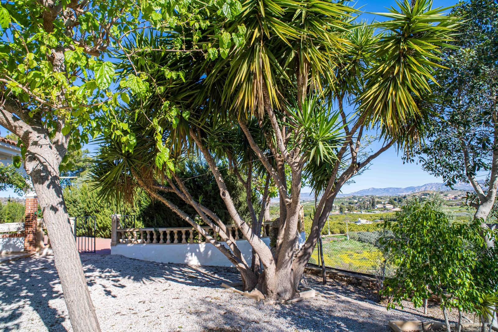 4 chambre Finca/Maison de Campagne à vendre à Santomera avec piscine - 350 000 € (Ref: 9762345)