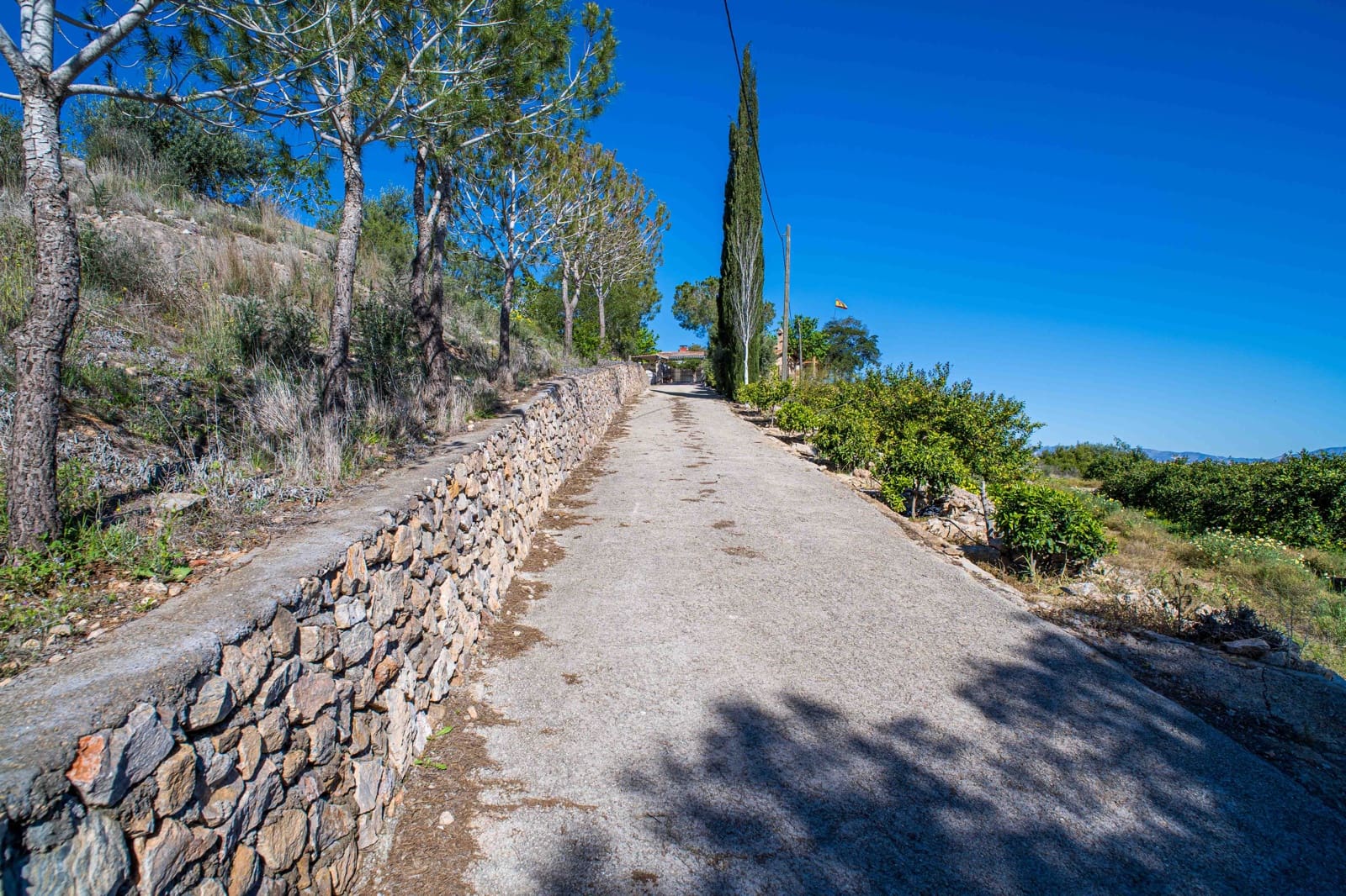 4 chambre Finca/Maison de Campagne à vendre à Santomera avec piscine - 350 000 € (Ref: 9762345)