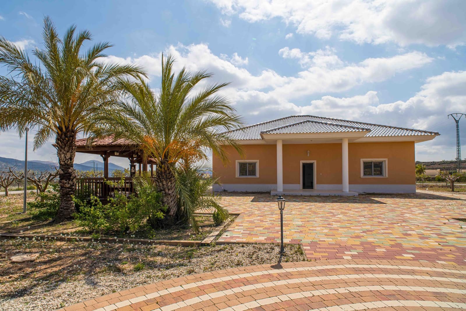 4 bedroom Villa for sale in Pinoso - € 630,000 (Ref: 9763896)