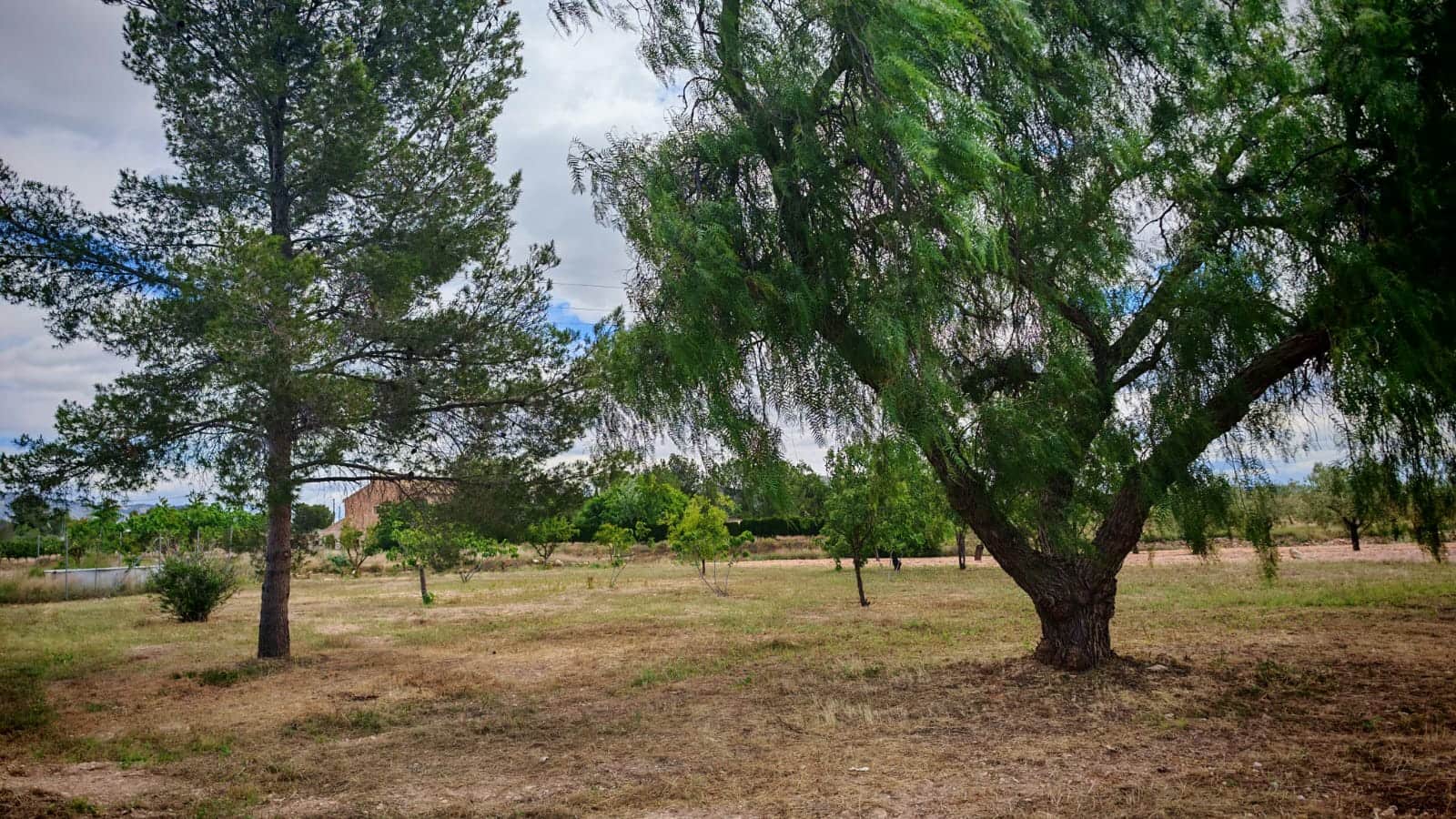 Building Plot for sale in Ubeda - € 35,000 (Ref: 9899967)