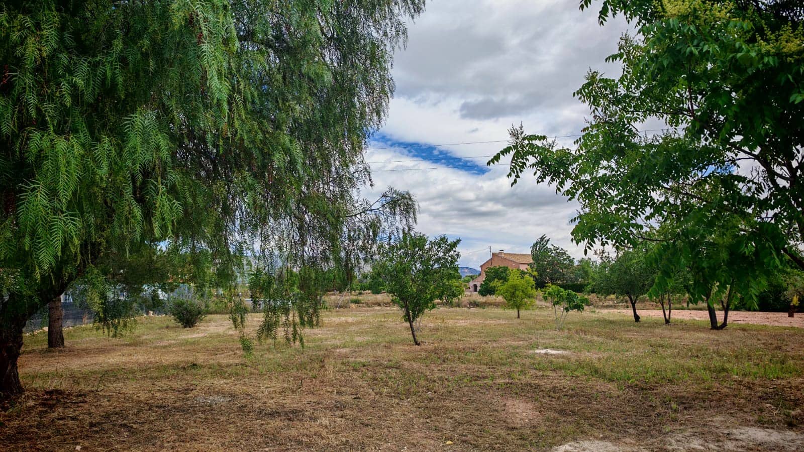Building Plot for sale in Ubeda - € 35,000 (Ref: 9899967)