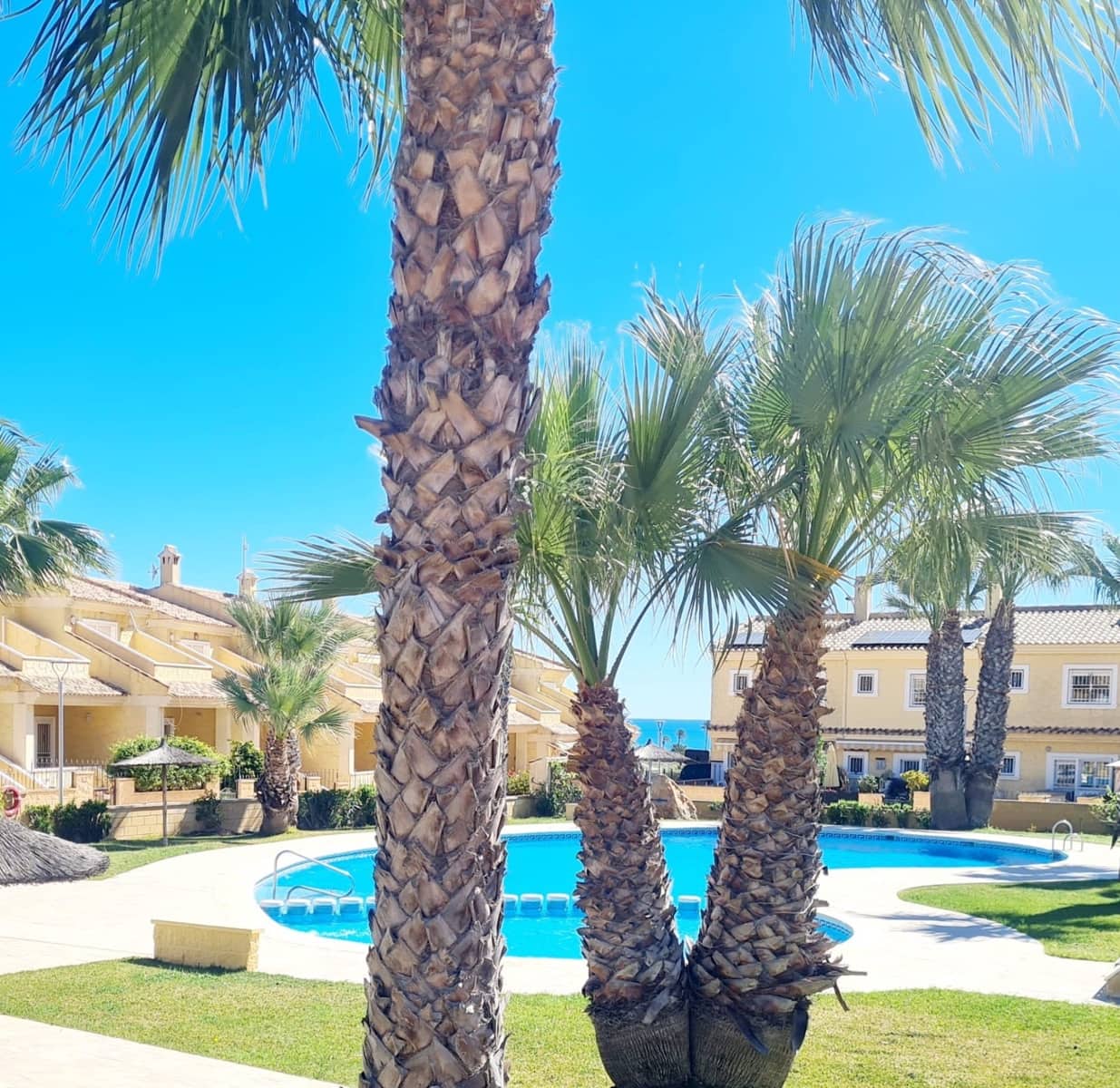 3 sovrum Semi-fristående Villa att hyra i Torrevieja med pool garage - 1 600 € (Ref: 10004982)