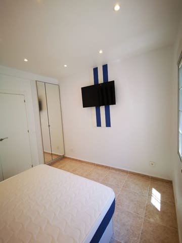3 sypialnia Penthouse do wynajęcia w Torrevieja - 1 100 € (Ref: 10034860)