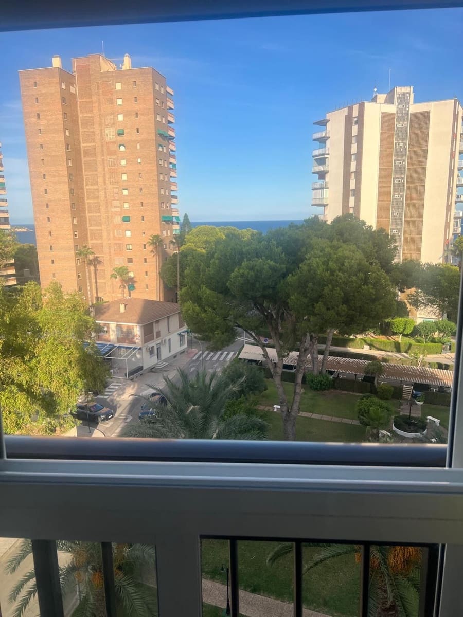 1 soveværelse Lejlighed til leje i Dehesa de Campoamor - € 550 (Ref: 10131124)