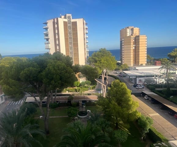 1 soveværelse Lejlighed til leje i Dehesa de Campoamor, Orihuela - € 550 (Ref: 10131124)
