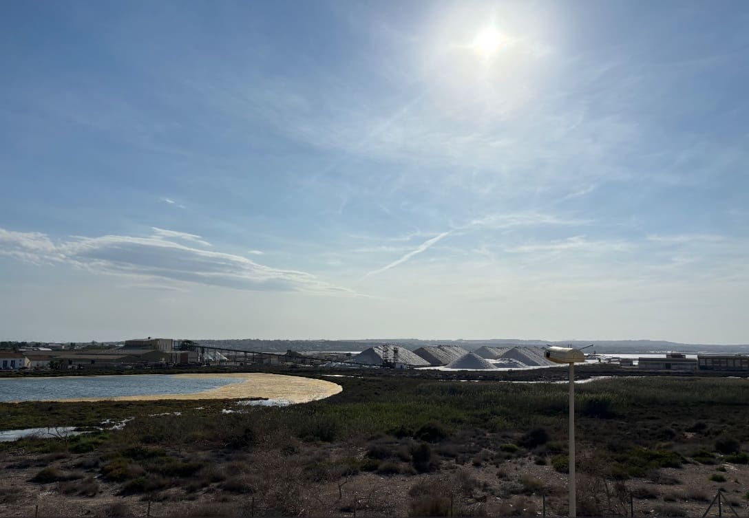 Villa/Maison de 3 chambres à louer à Torrevieja avec piscine - 1 550 € (Ref: 8822790)