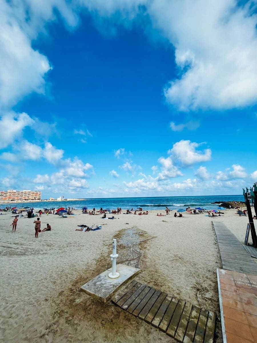 1 slaapkamer Appartement te huur in Torrevieja met zwembad - € 750 (Ref: 8879483)
