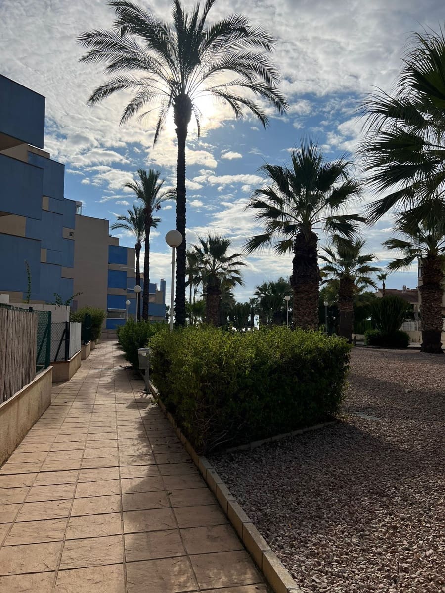 2 bedroom Flat for rent in Orihuela Costa with pool garage - € 950 (Ref: 9317202)