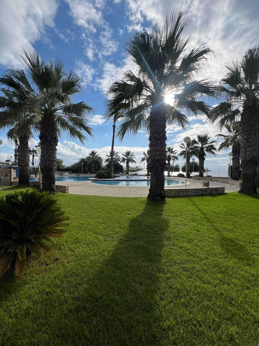 2 bedroom Flat for rent in Orihuela Costa with pool garage - € 950 (Ref: 9317202)