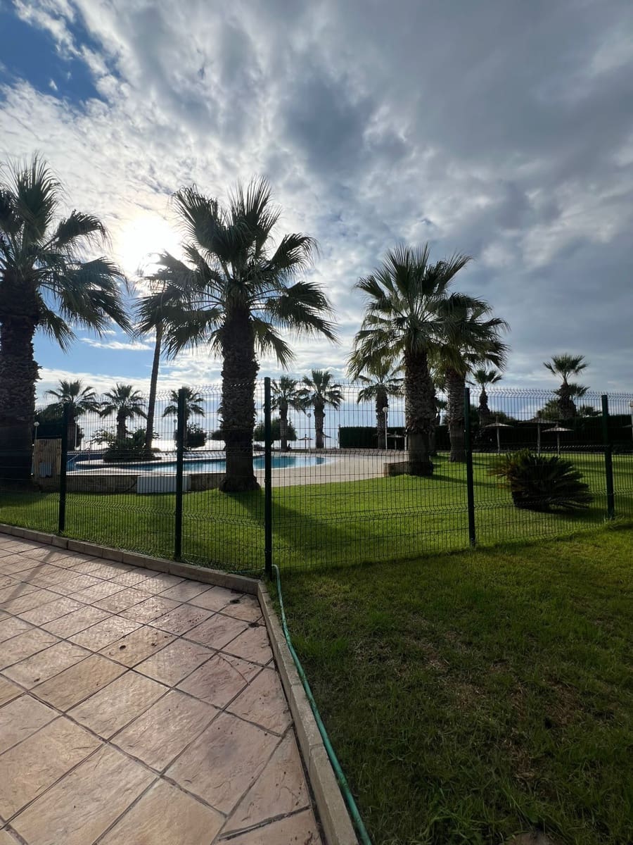 2 bedroom Flat for rent in Orihuela Costa with pool garage - € 950 (Ref: 9317202)