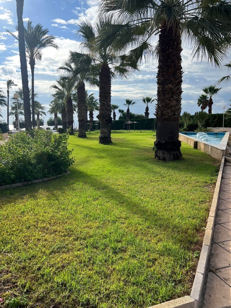 2 bedroom Flat for rent in Orihuela Costa with pool garage - € 950 (Ref: 9317202)