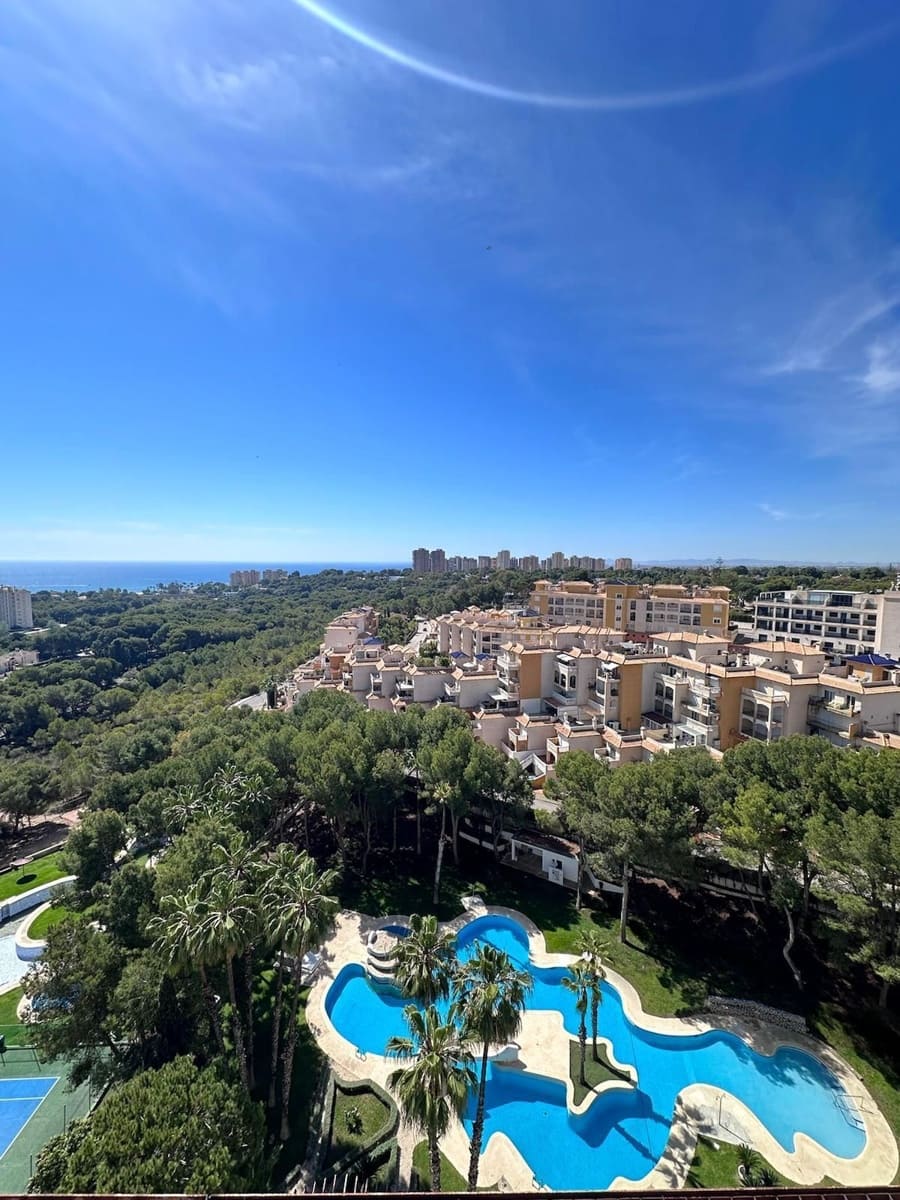 Ático de 4 habitaciones en Dehesa de Campoamor en alquiler con piscina garaje - 1.300 € (Ref: 9346784)