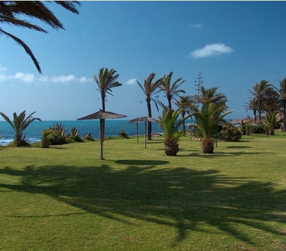 2 slaapkamer Huis te huur in Torrevieja met zwembad - € 800 (Ref: 9426863)