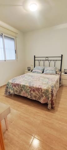 1 soverom Leilighet til leie i Torrevieja med svømmebasseng garasje - € 750 (Ref: 9508265)