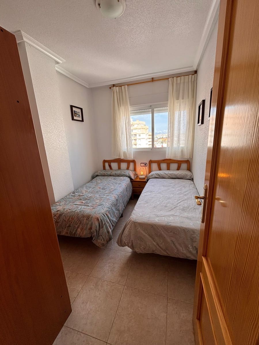 2 bedroom Flat for rent in Torrevieja with pool garage - € 800 (Ref: 9508266)