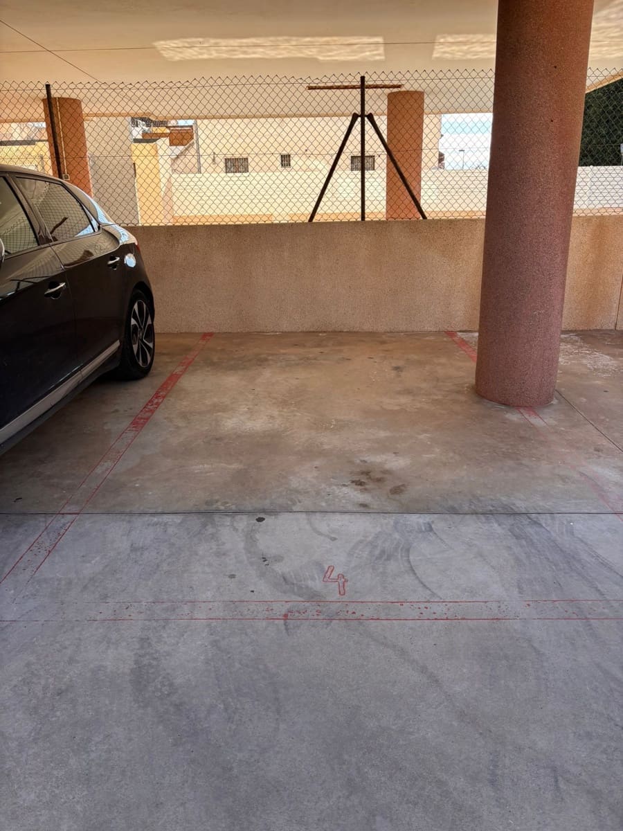 2 bedroom Flat for rent in Torrevieja with pool garage - € 800 (Ref: 9508266)