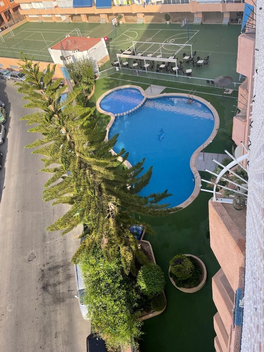2 bedroom Flat for rent in Torrevieja with pool - € 750 (Ref: 9627171)
