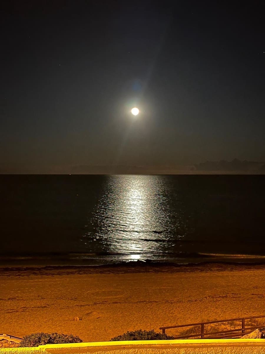 2 soverom Leilighet til leie i Pilar de la Horadada - € 900 (Ref: 9679434)