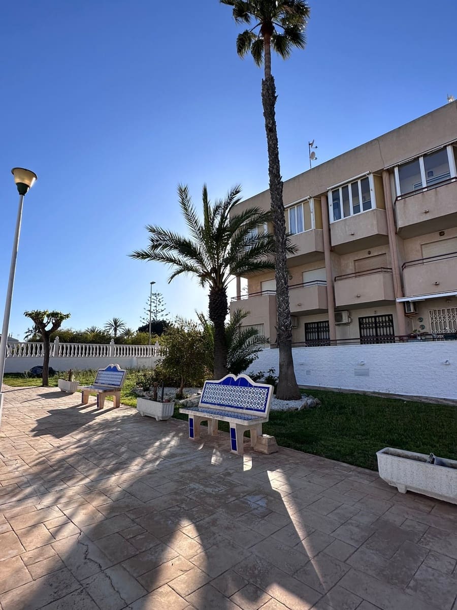 1 sypialnia Mieszkanie do wynajęcia w Pilar de la Horadada z basenem garażem - 900 € (Ref: 9689999)