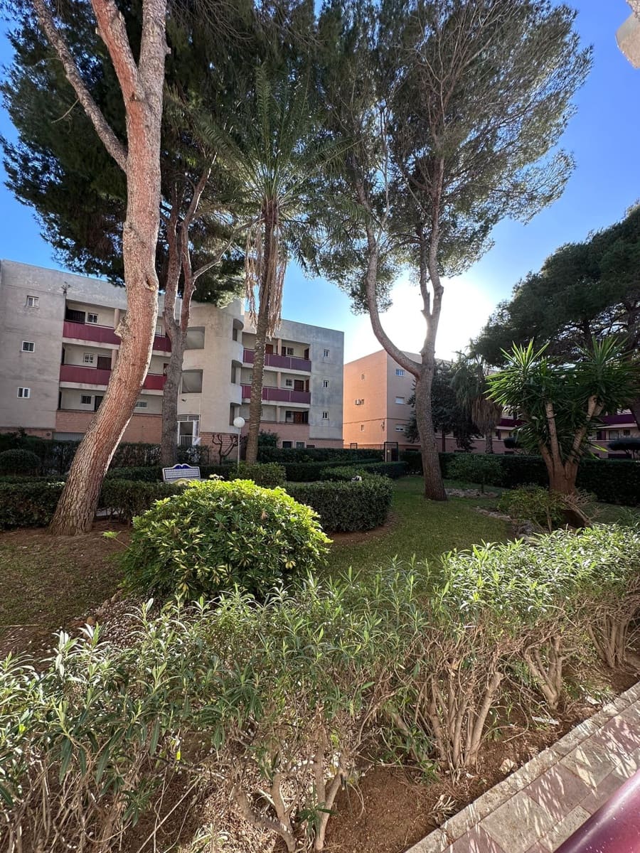 1 sypialnia Mieszkanie do wynajęcia w Pilar de la Horadada z basenem garażem - 900 € (Ref: 9689999)