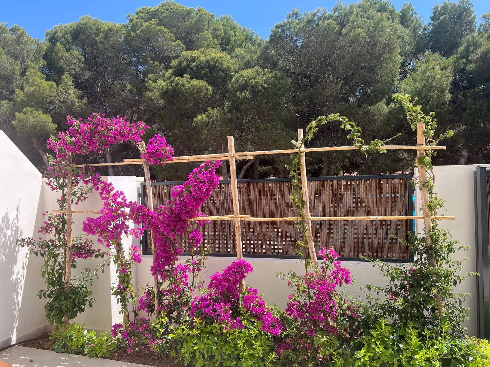 3 soverom Leilighet til leie i San Javier med svømmebasseng garasje - € 1 500 (Ref: 9751587)