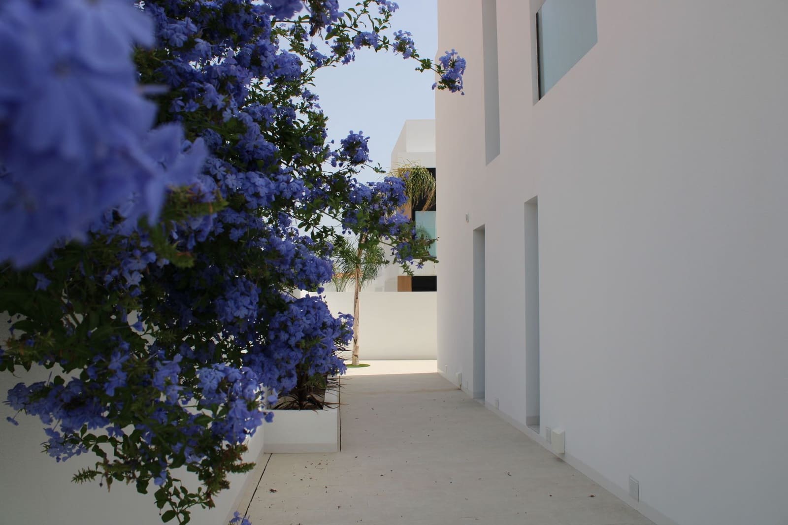 3 soveværelse Villa til salg i Torre de la Horadada med swimmingpool garage - € 589.000 (Ref: 9758516)