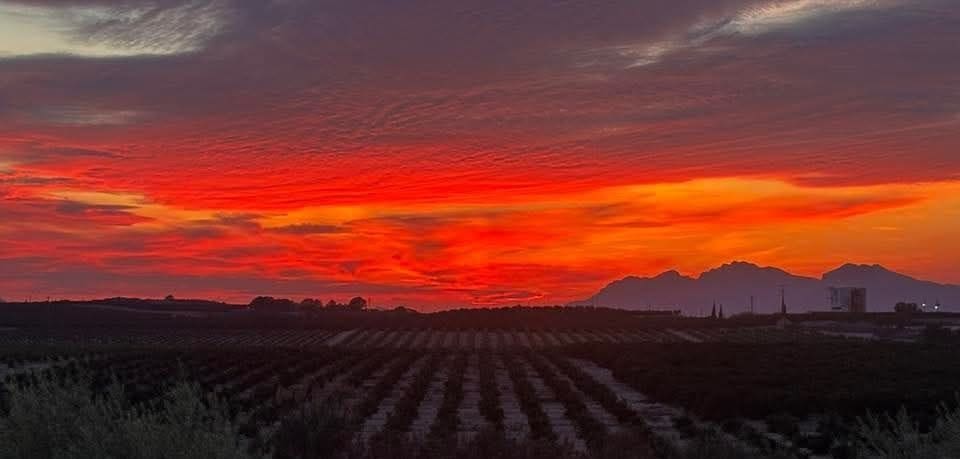 2 bedroom Flat for rent in Algorfa with pool garage - € 850 (Ref: 9761659)