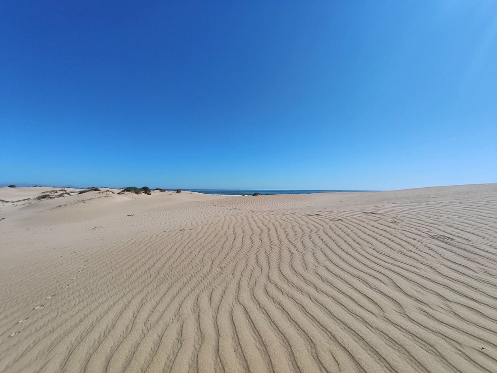 1 slaapkamer Flat te huur in Guardamar del Segura - € 700 (Ref: 9806064)