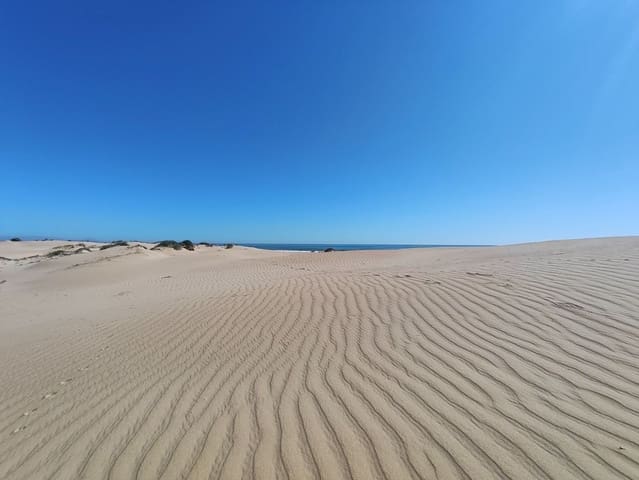 Appartement de 1 chambre à louer à Guardamar del Segura - 700 € (Ref: 9806064)