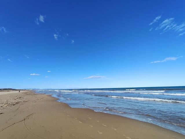 Appartement de 1 chambre à louer à Guardamar del Segura - 700 € (Ref: 9806064)