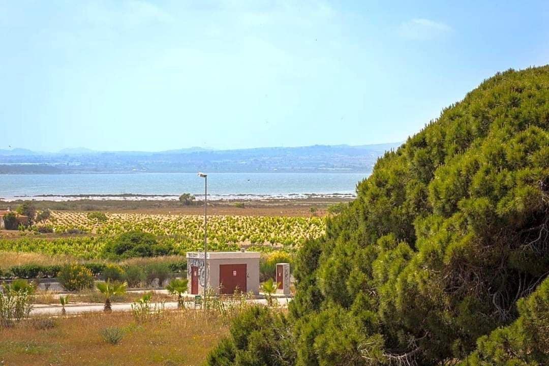 3 bedroom Villa for rent in Torrevieja with pool garage - € 1,300 (Ref: 9828247)