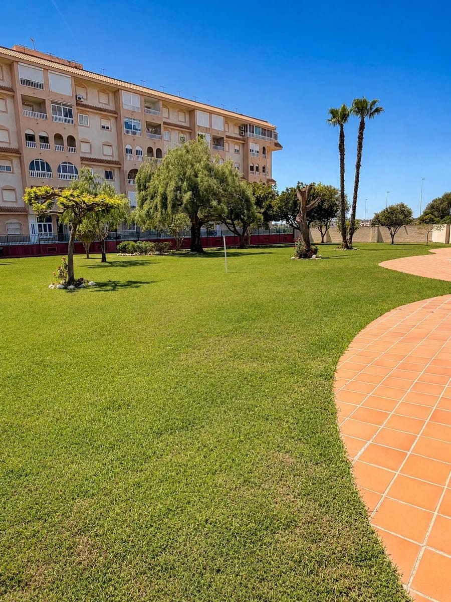 2 bedroom Flat for rent in Torrevieja with pool - € 850 (Ref: 9835165)
