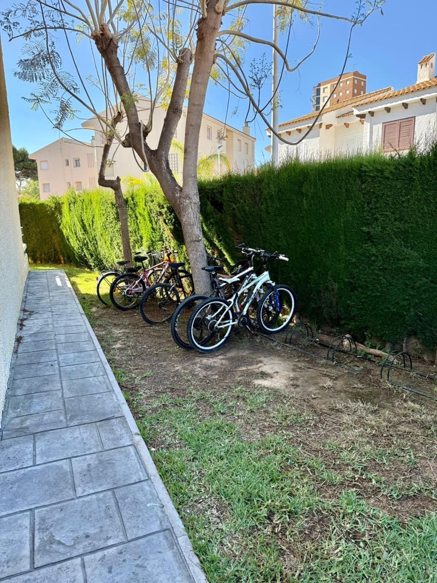 1 bedroom Flat for rent in San Javier - € 650 (Ref: 9928701)