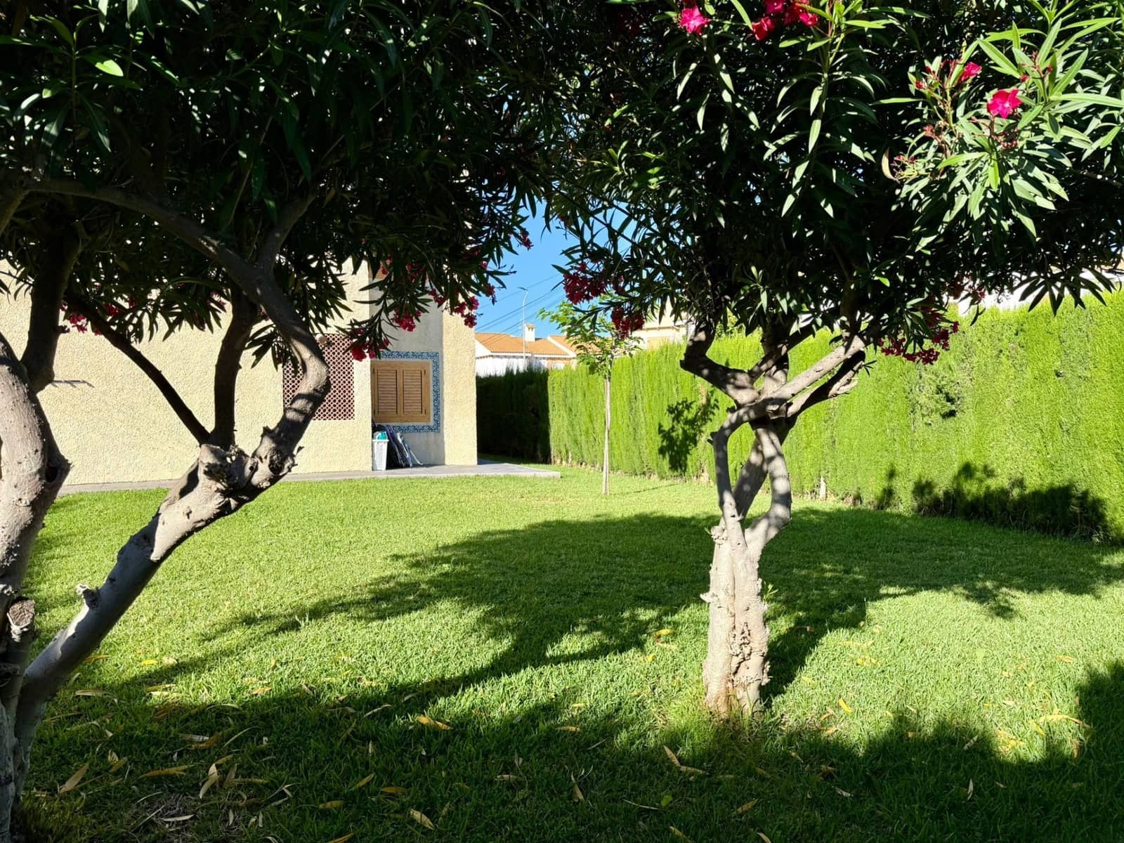 1 bedroom Flat for rent in San Javier - € 650 (Ref: 9928701)