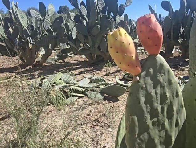 Finca/Landehus til salg i Alhaurín el Grande - € 220.000 (Ref: 10179234)