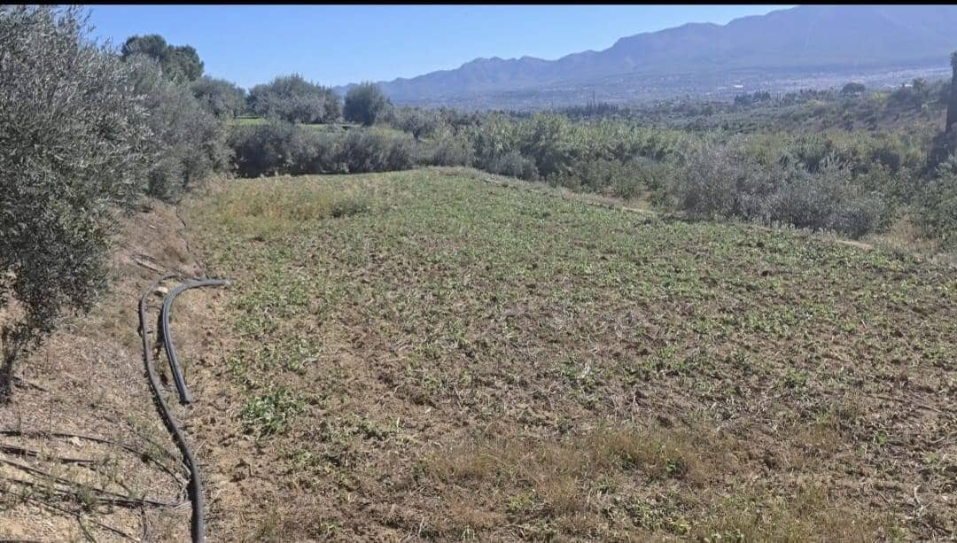 Finca/Landehus til salg i Alhaurin el Grande - € 220.000 (Ref: 10179234)
